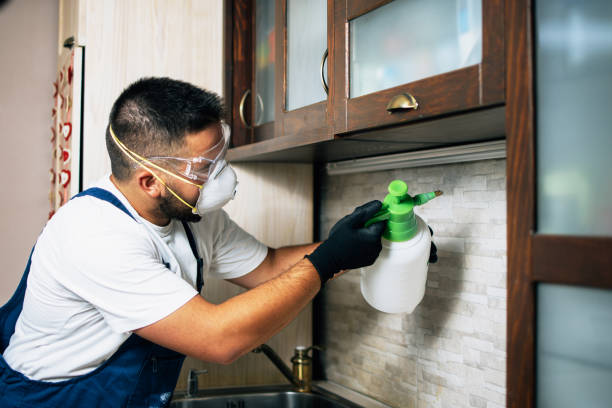 Best Best Pest Control Companies  in Prineville Lake Acres, OR