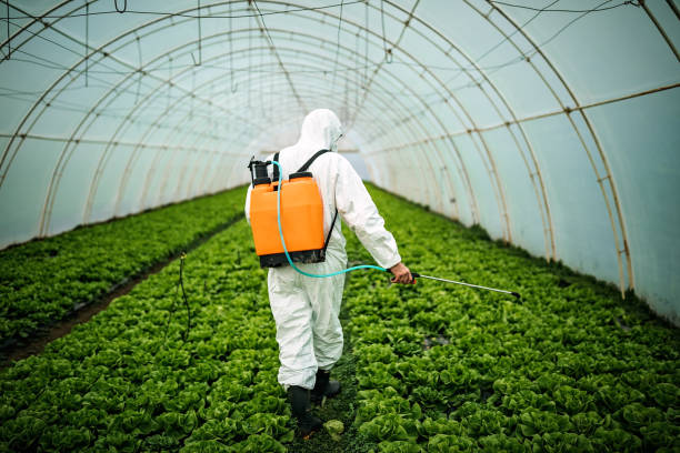 Best Mosquito Control Services  in Prineville Lake Acres, OR
