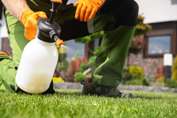 Professional Pest Control in Prineville Lake Acres, OR