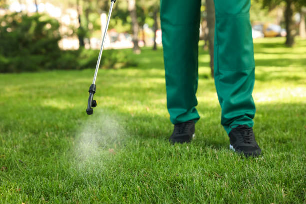 Best Local Pest Control Services  in Prineville Lake Acres, OR